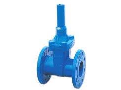 锁闭弹性座封闸阀